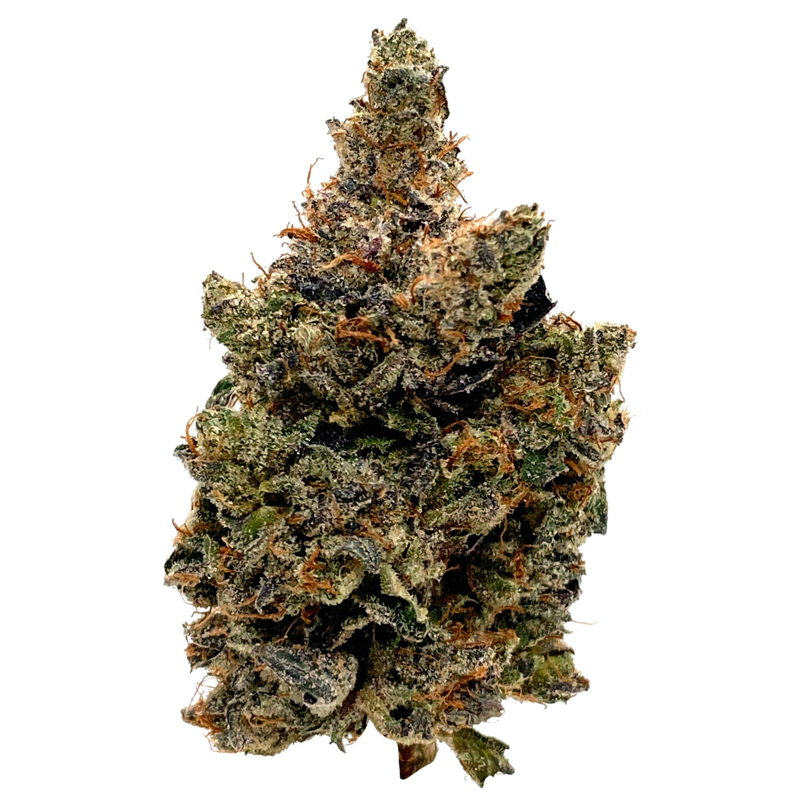 FROSTED FRUIT CAKE (14g)